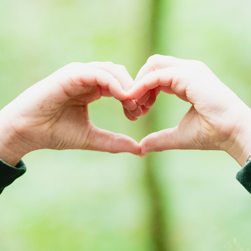 Hands in the shape of a heart