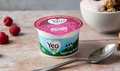 Yeo Valley Raspberry Yogurt